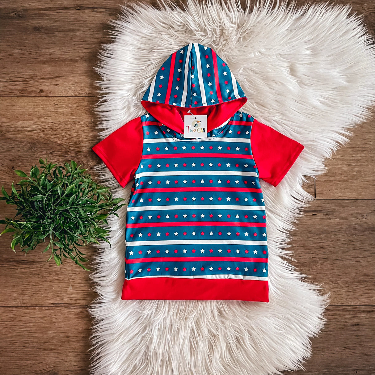 Americana Stars & Stripes Hoodie | TwoCan