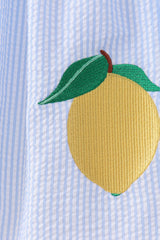 Sweet Lemon Days Seersucker Dress